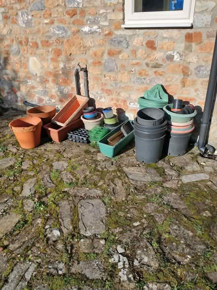 Photo of free Garden pots and trays (North Wootton BA4) #1