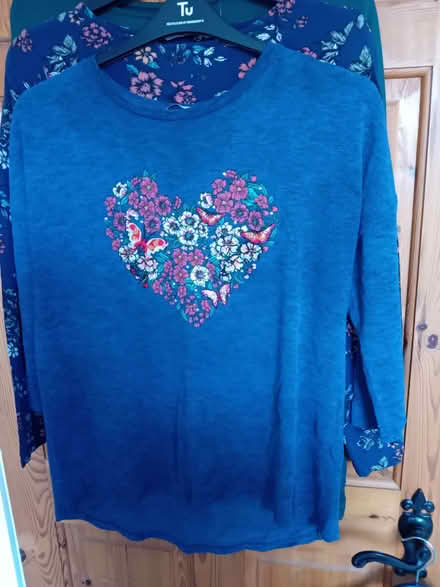 Photo of free Ladies tops size 14 (Station Area RG21) #2