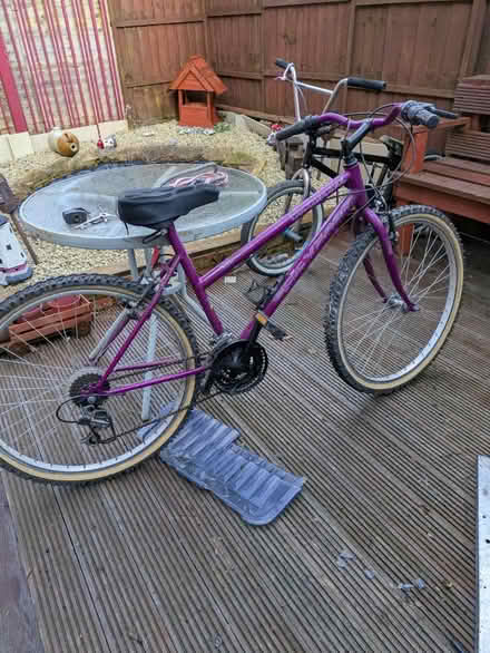 Photo of free Bikes (Kingshurst B37) #2