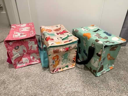 Photo of free Kids lunch bags (Kingswood KT20) #1