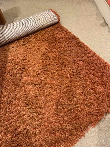 Photo of free Shaggy rug (Haworth BD22) #2