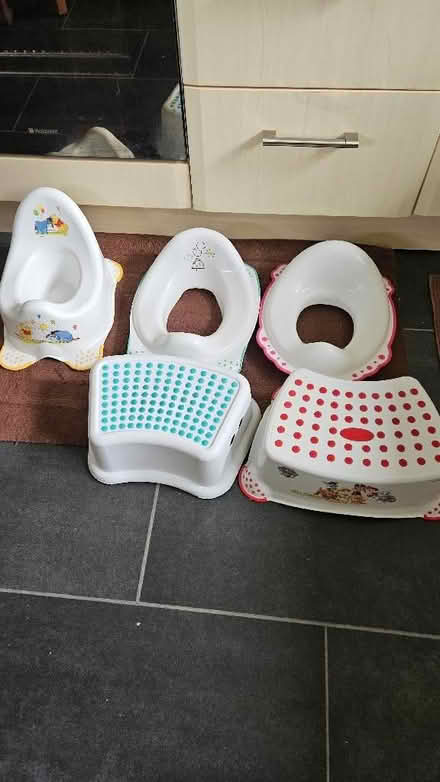 Photo of free Potty training aids (Surrey Heath GU15) #1