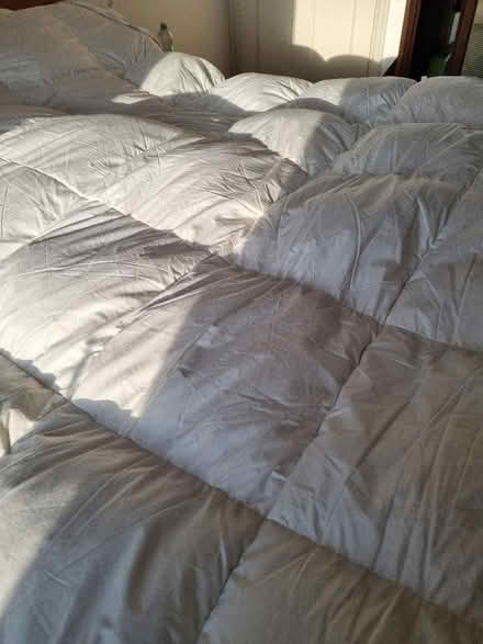 Photo of free John Lewis feather and down king size topper (New Hinksey OX1) #2
