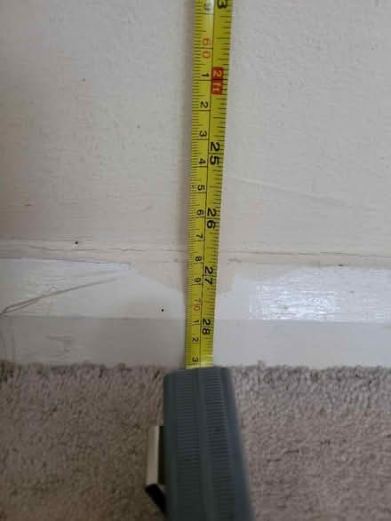 Photo of free Snake plant (Feltham TW13) #3