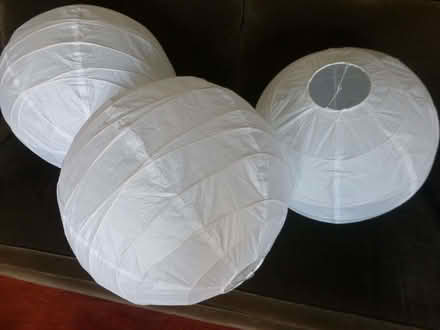 Photo of free Paper lampshades (Datchet SL3) #1