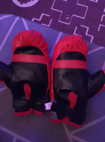 Photo of free Boxing gloves (Oxgangs EH13) #2