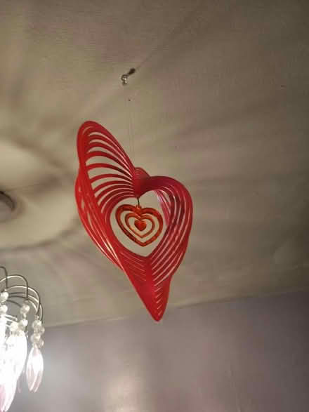 Photo of free Ceiling decoration (Abraham Heights LA1) #1