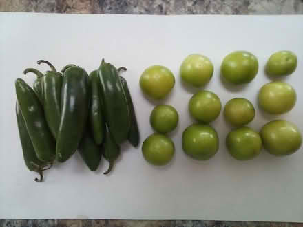 Photo of free Green tomatoes and jalapenos (Sunnyvale near Levi Stadium) #1