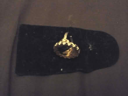 Photo of free Amber Ring (Kirkton of Auchterhouse DD3) #1