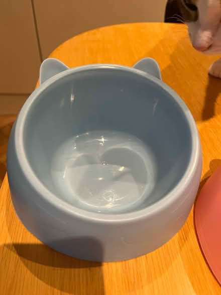 Photo of free Cat Bowls (x2) (AL1) #3