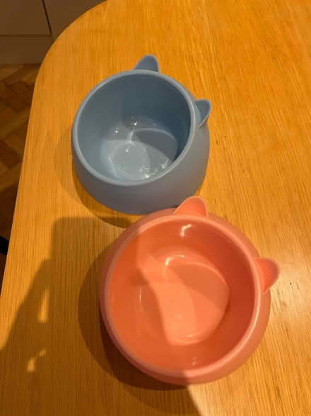 Photo of free Cat Bowls (x2) (AL1) #1