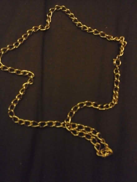 Photo of free Plated gold Necklace (Kirkton of Auchterhouse DD3) #1