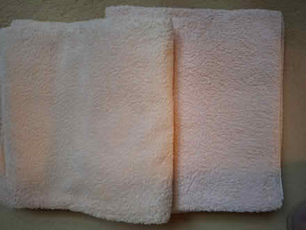 Photo of free Bath sheets x 2 (Speldhurst) #1