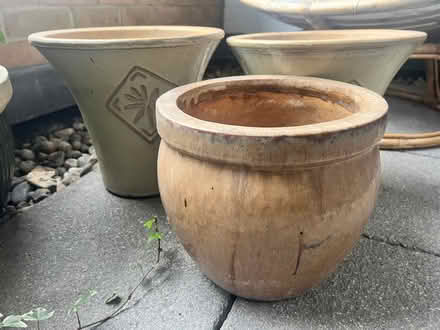 Photo of free Plant pots (Balham SW12) #1
