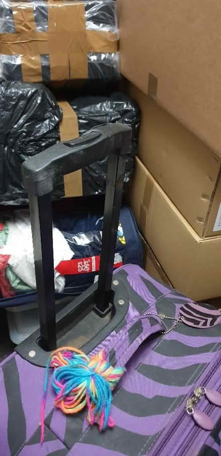 Photo of free Large purple zebra print suitcase. (Chorley Moor PR7) #2