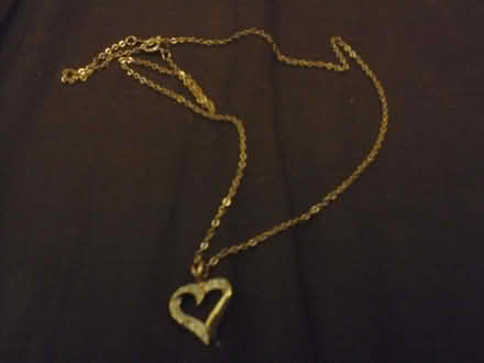 Photo of free Heart Plated Necklace (Kirkton of Auchterhouse DD3) #1