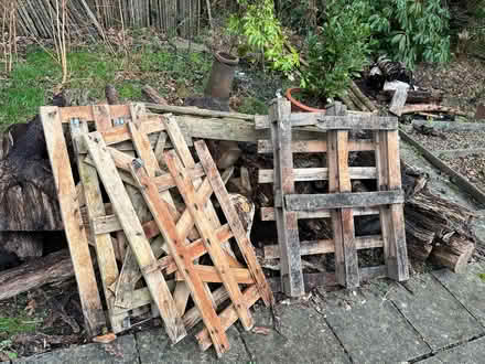 Photo of free Logs and pallet wood (Old Slade KT16) #1