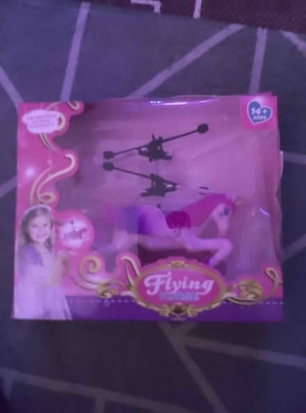 Photo of free Flying horse (Oxgangs EH13) #1