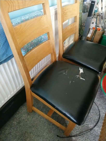 Photo of free Dining Table & Chairs (Etwall DE65) #1