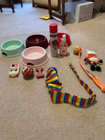 Photo of free Dog stuff (Upper Radley OX14) #1