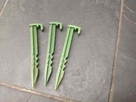 Photo of free Pegs for netting or garden use (Maidenhead SL6) #1