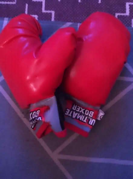 Photo of free Boxing gloves (Oxgangs EH13) #1