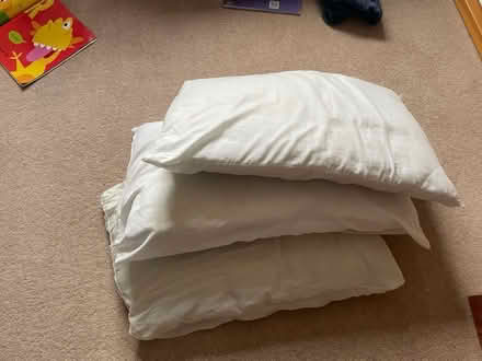 Photo of free Pillows x 3 (PO6) #1