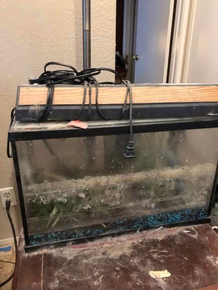Photo of free Aquarium (San Jose) #1