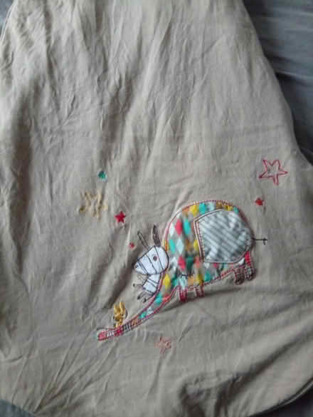 Photo of free Baby sleeping bag (Hither Green) #3