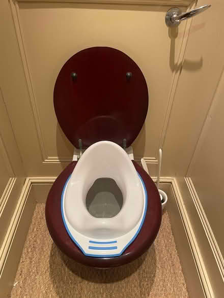 Photo of free Toddler's toilet seat (Victoria SW1V) #1