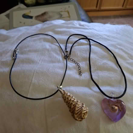 Photo of free 2 cord necklets with pendant on (Clive Vale TN35) #2