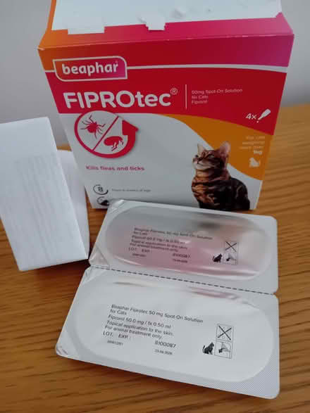 Photo of free Flea treatment for cats (Houghton Regis LU5) #1