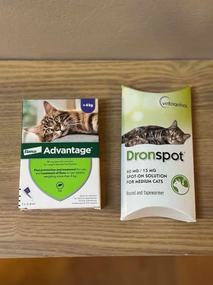 Photo of free Kitty flea and worm treatment (Handforth, SK9) #1