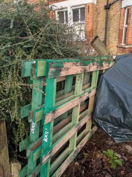 Photo of free 3 large wooden pallets 1 regular (Sydenham) #1