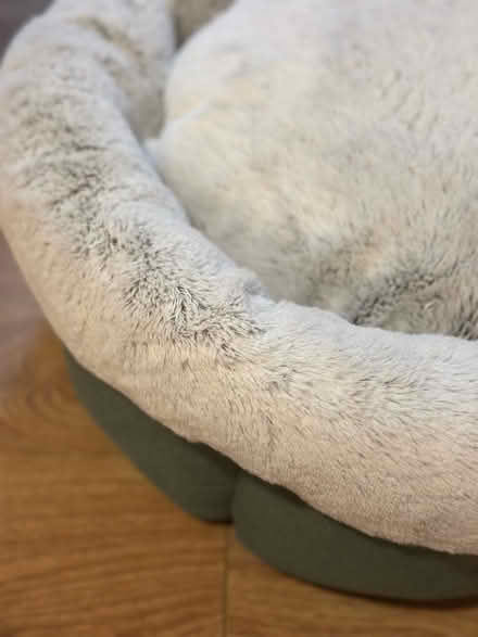 Photo of free Cosy pet bed for cat / small dog (Handforth, SK9) #4