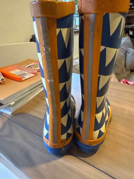 Photo of free Muddy Puddles kids wellies size 9 (Coalpit Heath BS36) #2