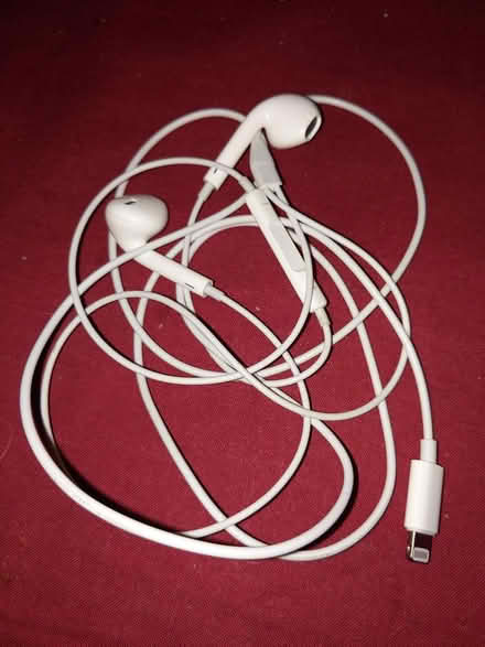 Photo of free iPhone Earbuds corded (Milford NH) #1