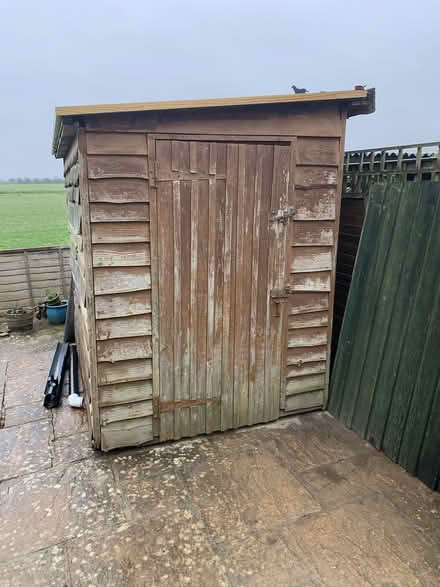 Photo of free Wooden shed (Tangmere PO20) #1