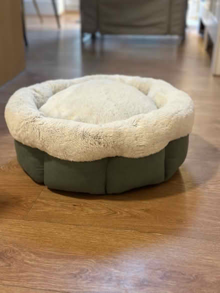 Photo of free Cosy pet bed for cat / small dog (Handforth, SK9) #1