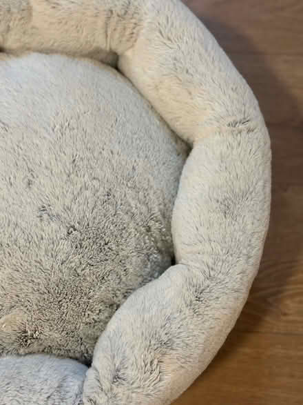Photo of free Cosy pet bed for cat / small dog (Handforth, SK9) #3