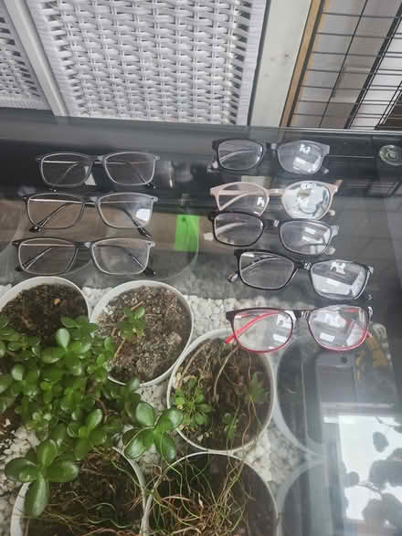Photo of free Glasses (Kenley) #1