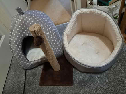Photo of free Cat beds & scratcher post (Botley OX2) #1