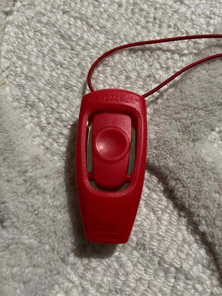 Photo of free Whizzclick dog clicker (Long Hanborough OX29) #1