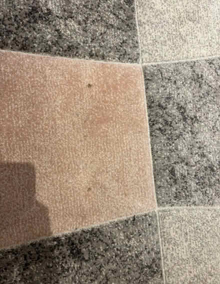 Photo of free Rug - 160 by 220cm (Balham, SW12) #2