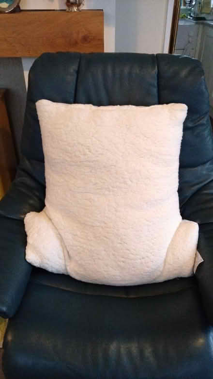 Photo of free Support pillow (Leckhampton GL53) #1