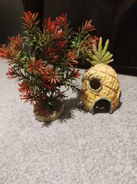 Photo of free Fish tank decor (WC1) (Clerkenwell WC1X) #1