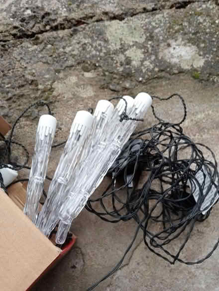 Photo of free Christmas lights (Dovecote BS37) #2