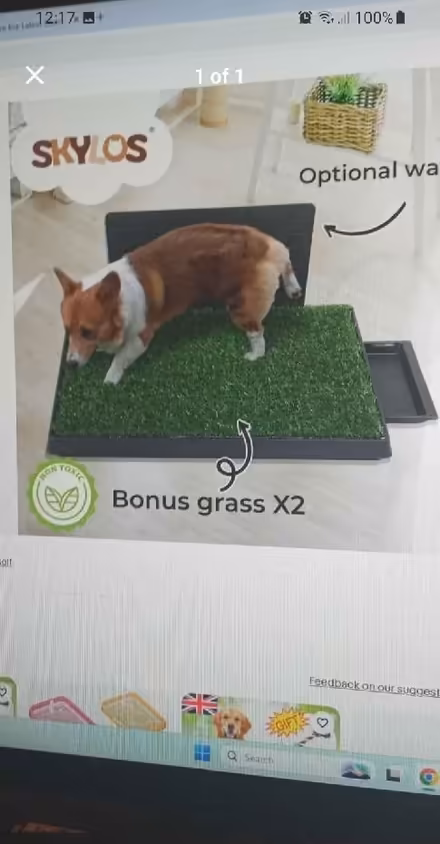 Photo of free Puppy training toilet pad (Whitehill GU35) #1