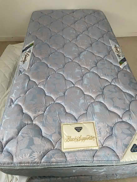 Photo of free Twin Mattress/Box Spring (Concord, MA) #1