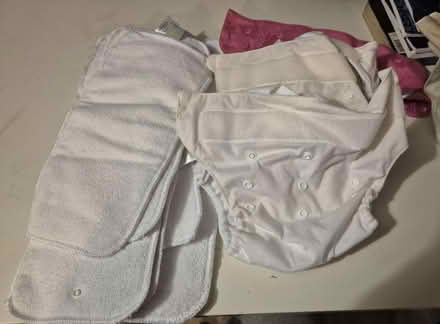 Photo of free Bumgenius nappies and liners (BR8) #1